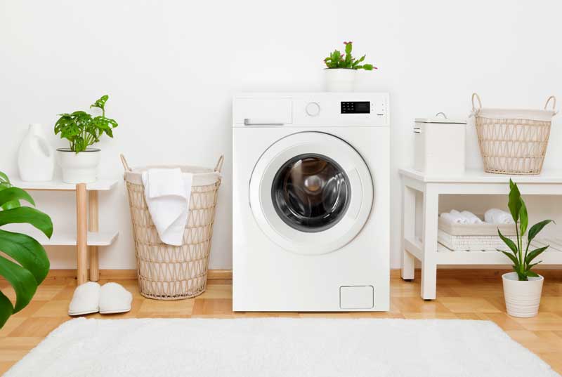 laundry-800 | Enzyme Technical Association